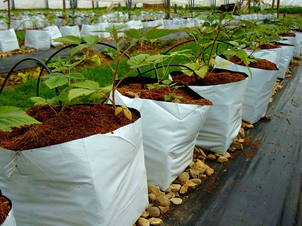 Field Applications of products Gallery