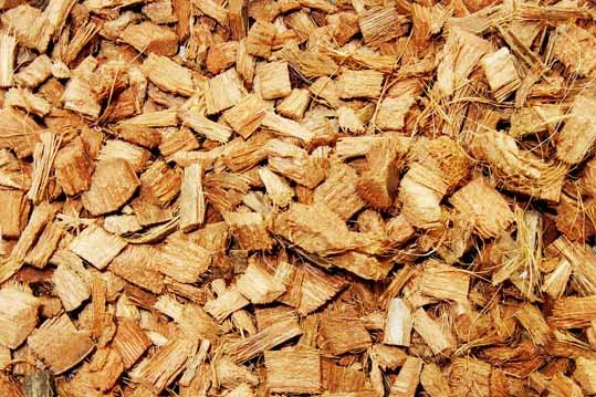 coco-chips.jpg