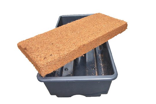 cocopeat-slabs_1.jpg