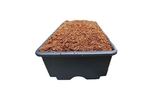 cocopeat-slabs_2.jpg