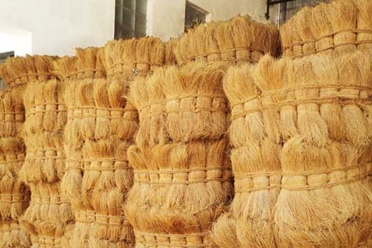 coir-fiber_4.jpg