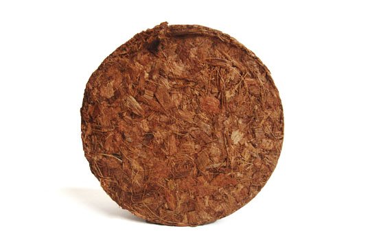 gerbera-coir-disk_1.jpg