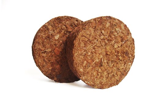 gerbera-coir-disk_2.jpg