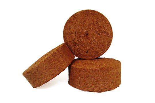 mini-disks_1.jpg