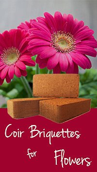 coir bricks for flowers