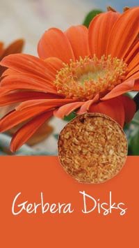 gerbera disk