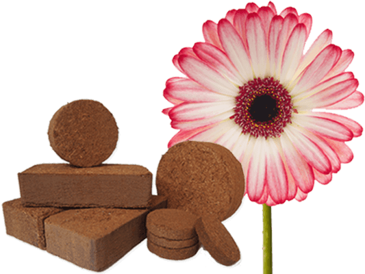 100% Natural Growing Medium